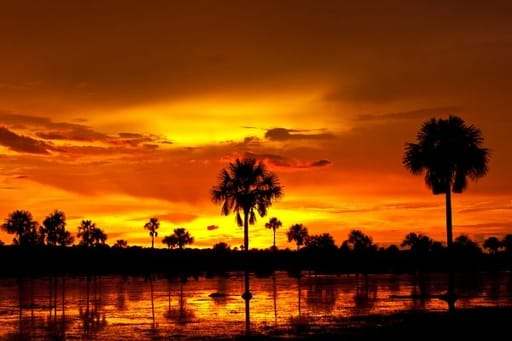 Atardecer llanero en el Meta